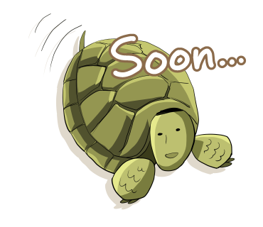 Soon Turtle